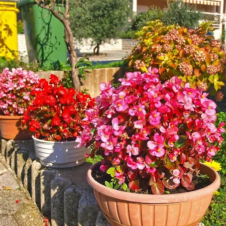 Fuer 5 Personen Ca 50 Qm In Rabac, Istrien Bucht Von Apartment *